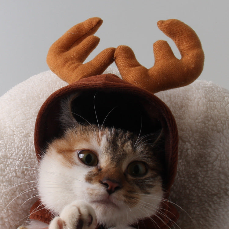 Cute Cat Hat - Little Reindeer 🦌