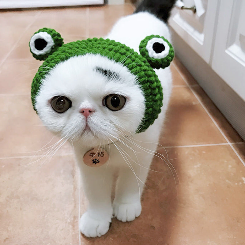 Cute Cat Hat - Green Froggy 🐸