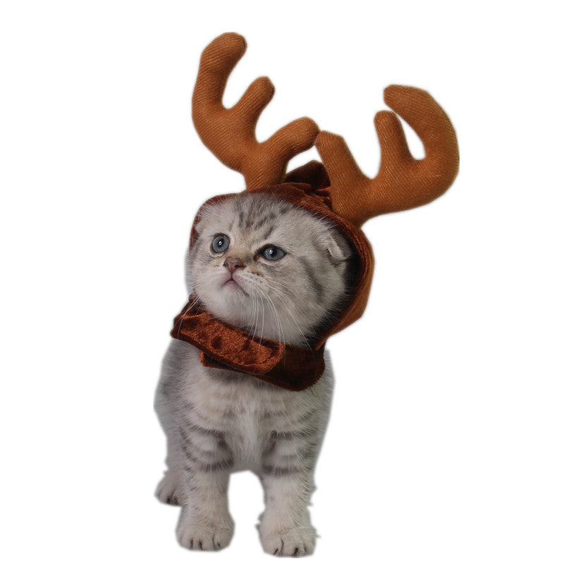 Cute Cat Hat - Little Reindeer 🦌