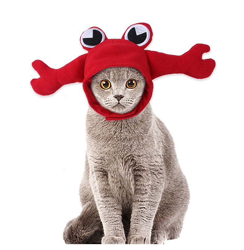 Cute Cat Hat - Crabby Cat 🦀