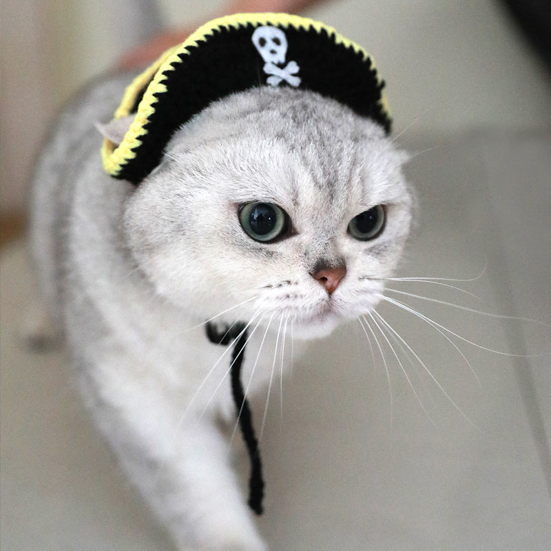 Cute Cat Hat - Pirate Captain 🏴‍☠️