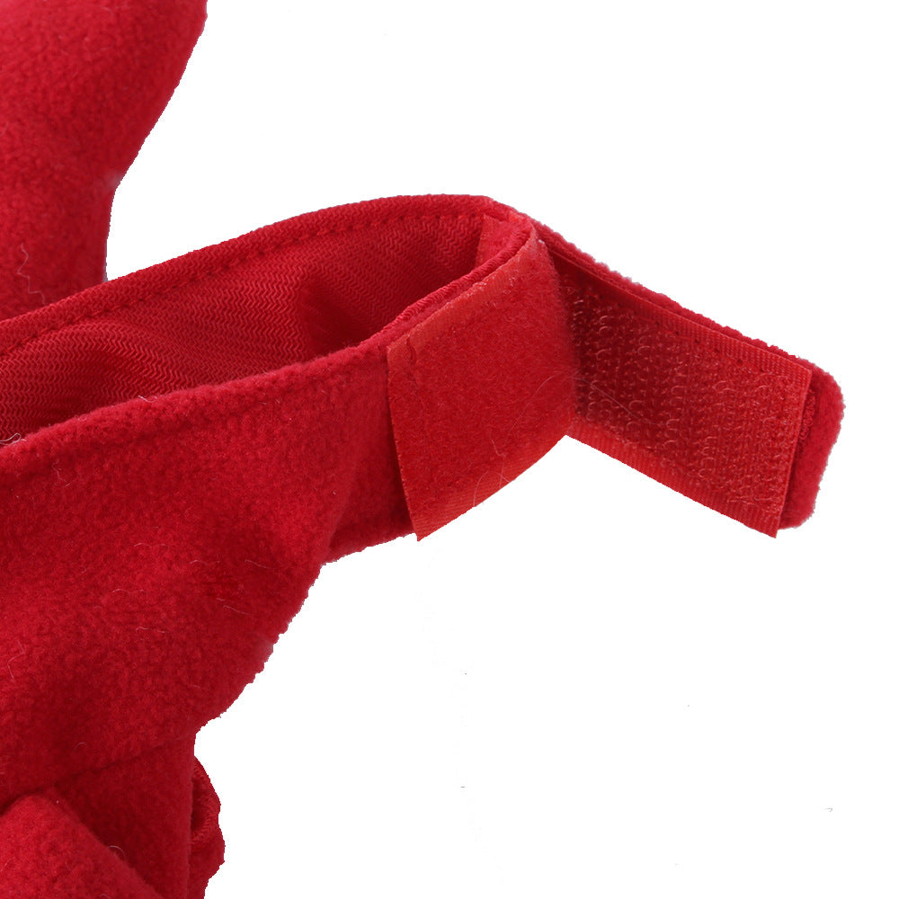 Cute Cat Hat - Crabby Cat 🦀