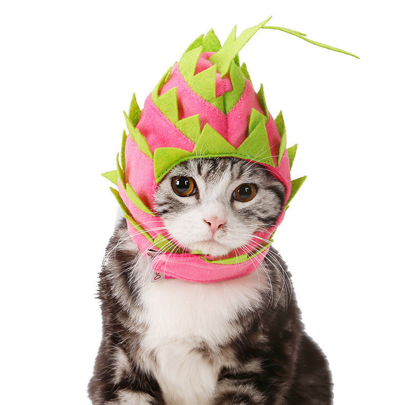 Cute Cat Hat - Dragon Fruit 🐉